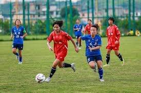 2026世界杯门票销售低迷分析及应对策略